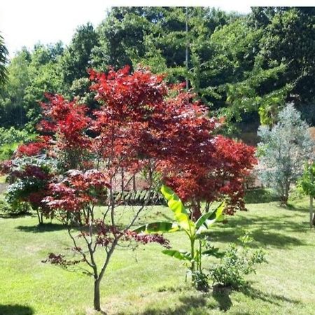 Istanti - Menta Apartment Costigliole Saluzzo Luaran gambar