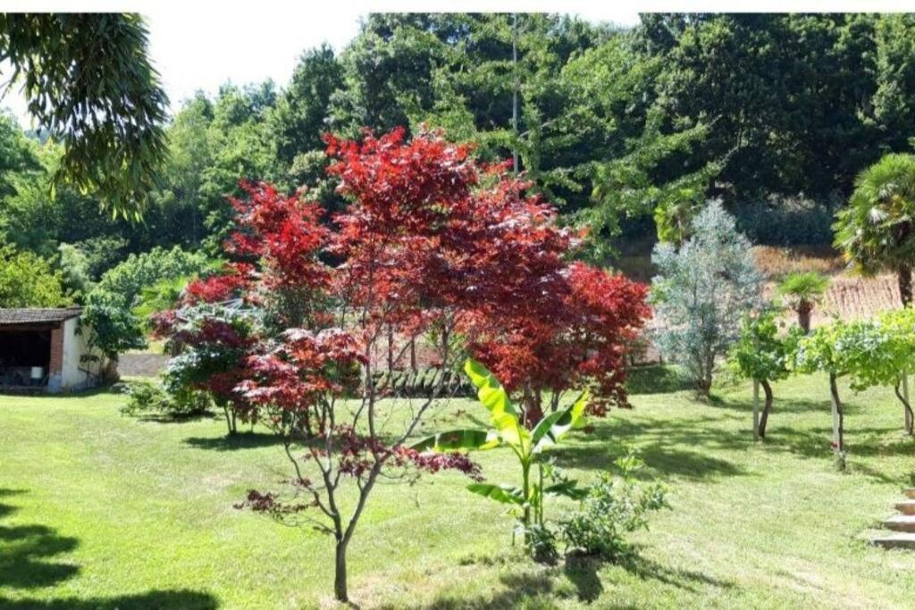 Istanti - Menta Apartment Costigliole Saluzzo Luaran gambar